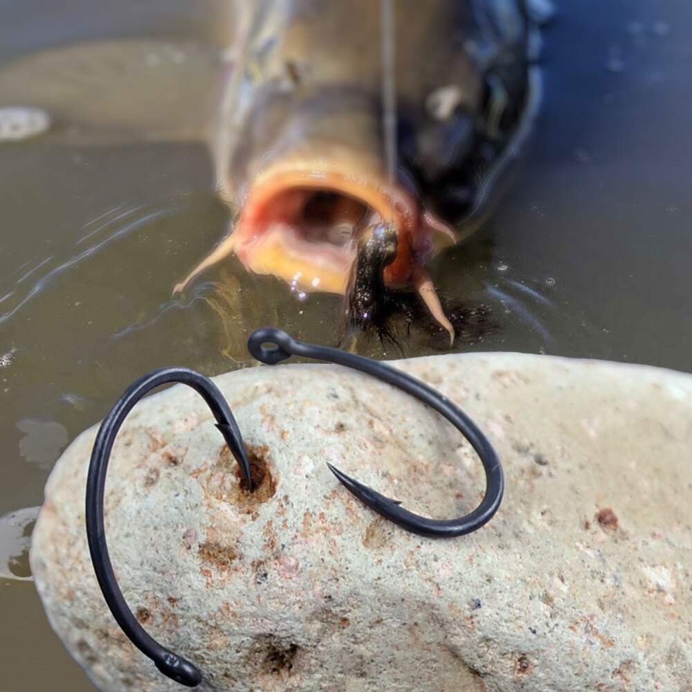 Hirisi 잉어 낚시 후크, PTFE 코팅, 고탄소강 - Fishing Hook Barbless 리뷰 및 가격